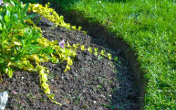 Neatly trimmed garden flower bed edging